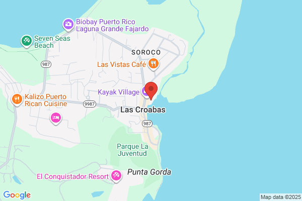 BIO-BAY TOURS/ISLAND ADVNTRS