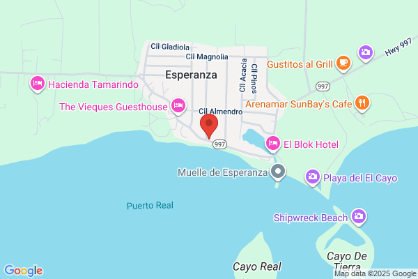 Trade Winds Guest House
