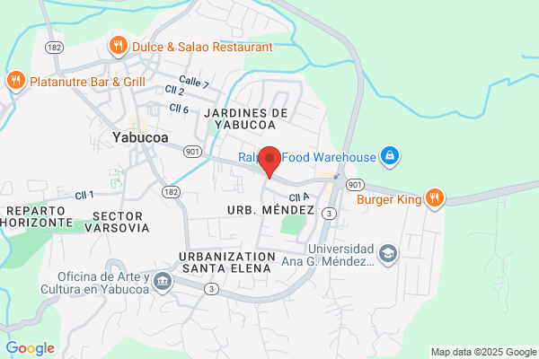 YABUCOA AUTO PARTS & MACHINE