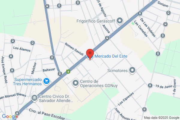 SUPERMERCADO DEL ESTE