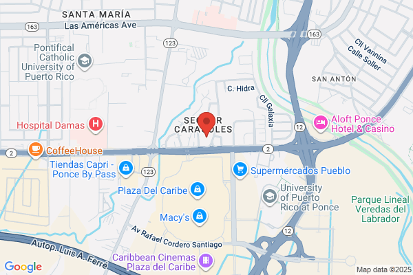 CARIBE GENERAL CONTRACTORS INC