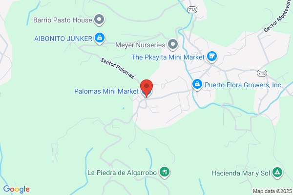 PALOMAS MINI MARKET